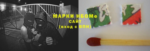 сатива Баксан