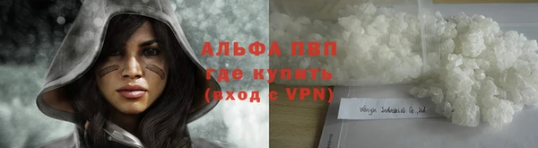 сатива Баксан