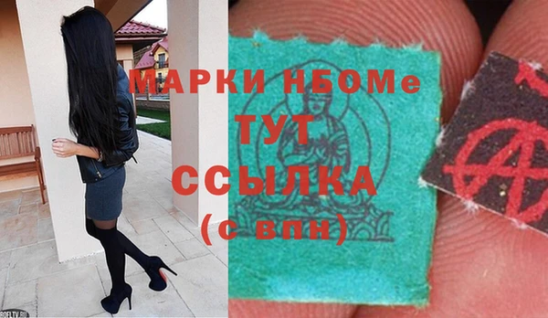 сатива Баксан